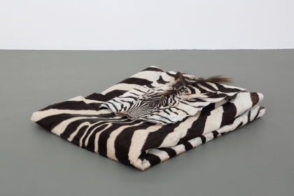 Introverted (2014) | appr. 80 x 60 x 15 cm | folded zebraskin