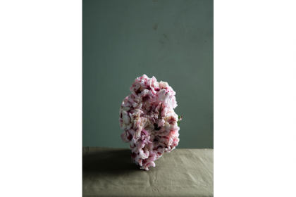 Untitled 6 - from the series Plants (2013) | edition of 5 + 2 AP | 57,5 x 39 cm | inkjet print on aluminum (framed)